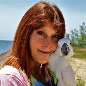 Meet your Posher, Dawn